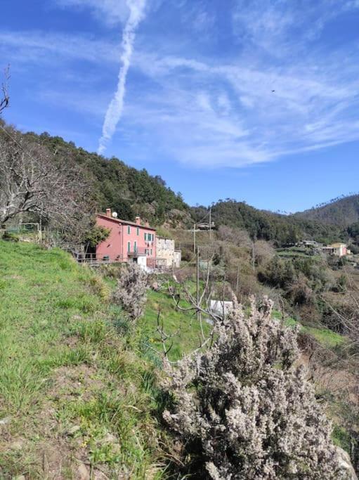 Quiet And Cozy Home With Wi-Fi Casa Prearino Vernazza Exteriör bild